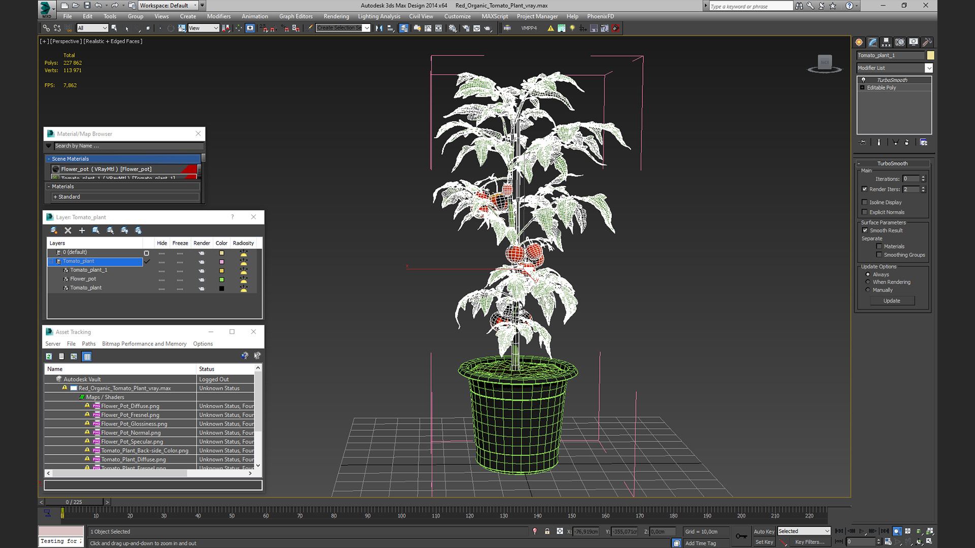 Red Organic Tomato Plant 3D model