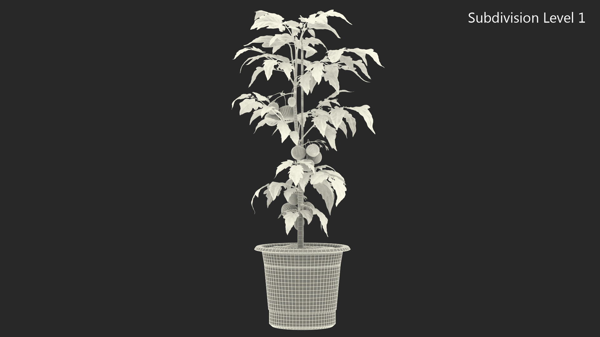 Red Organic Tomato Plant 3D model