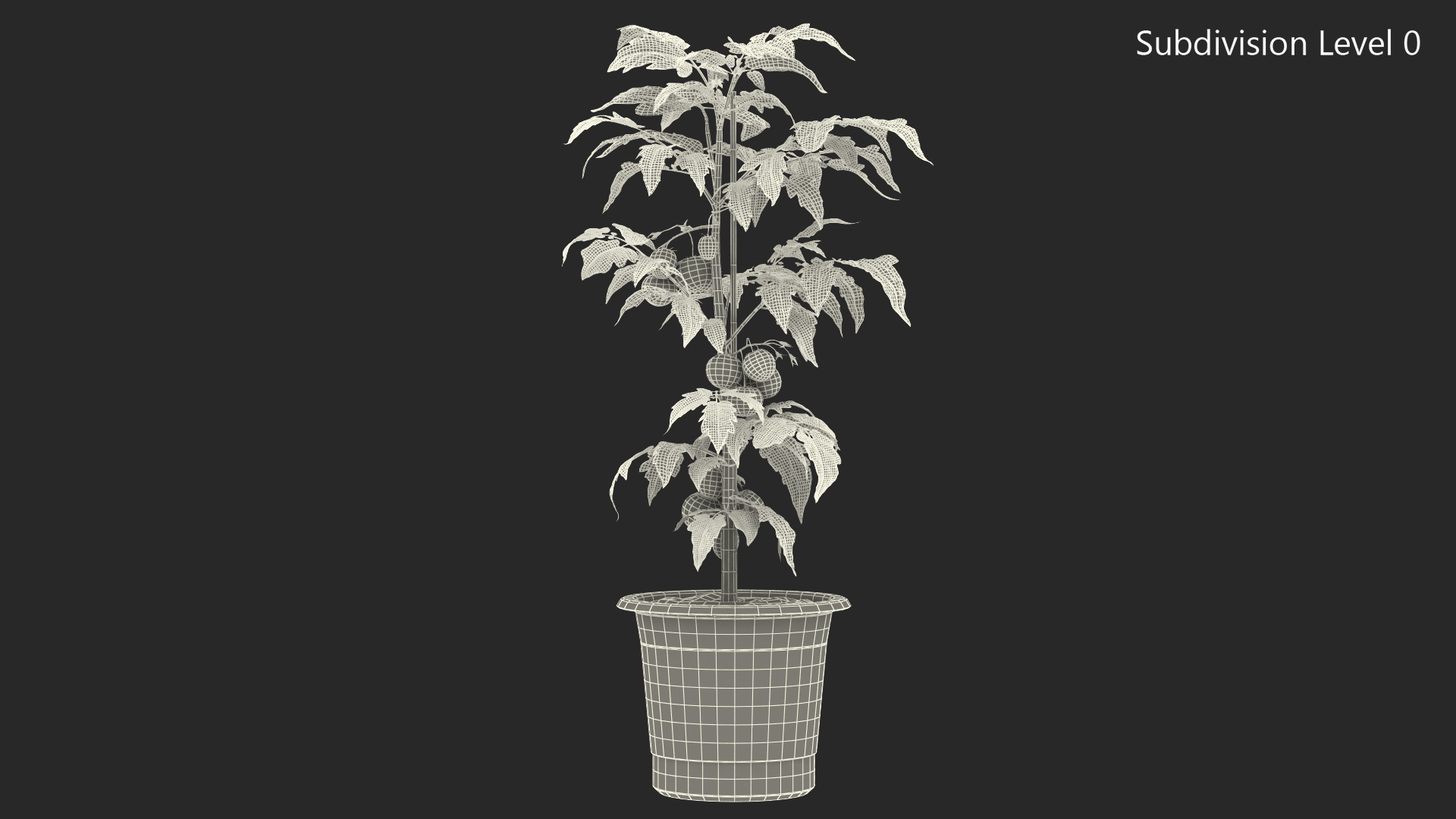 Red Organic Tomato Plant 3D model