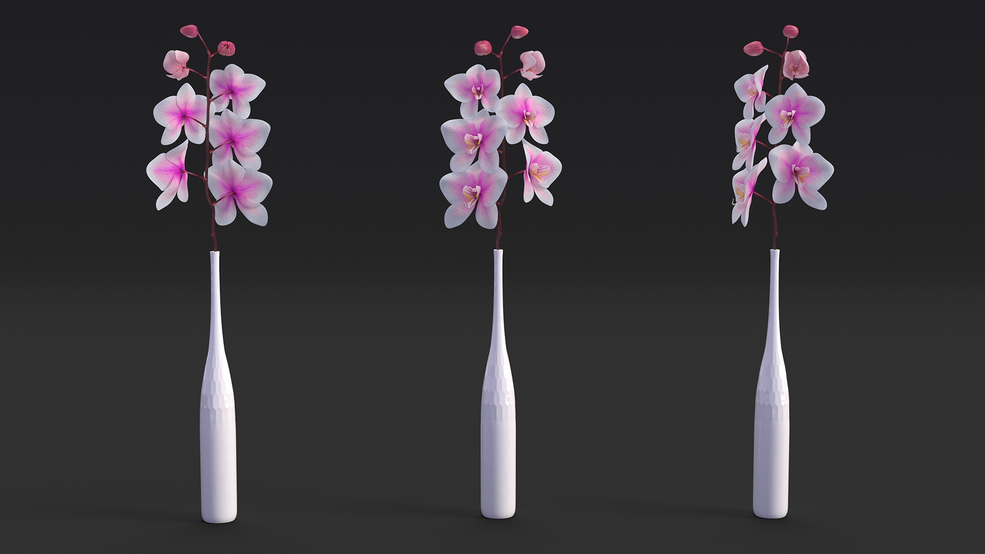 Tall Vase with Small Orchid Stem 3D