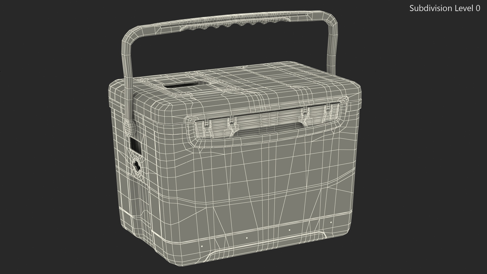 Human Organ Transplant Cooler 3D model