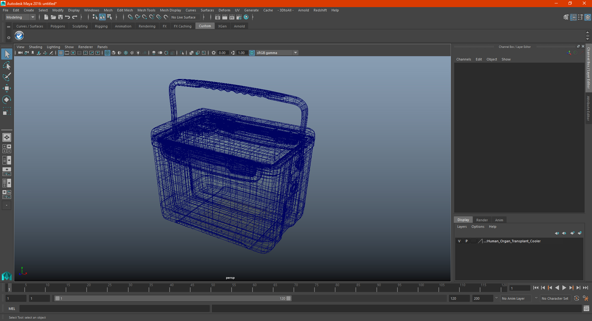 Human Organ Transplant Cooler 3D model