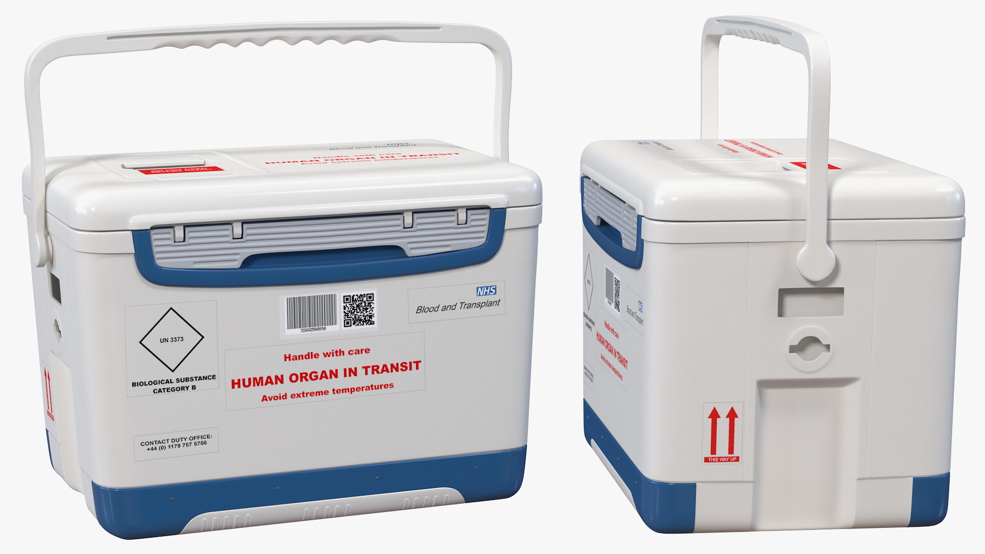 Human Organ Transplant Cooler 3D model
