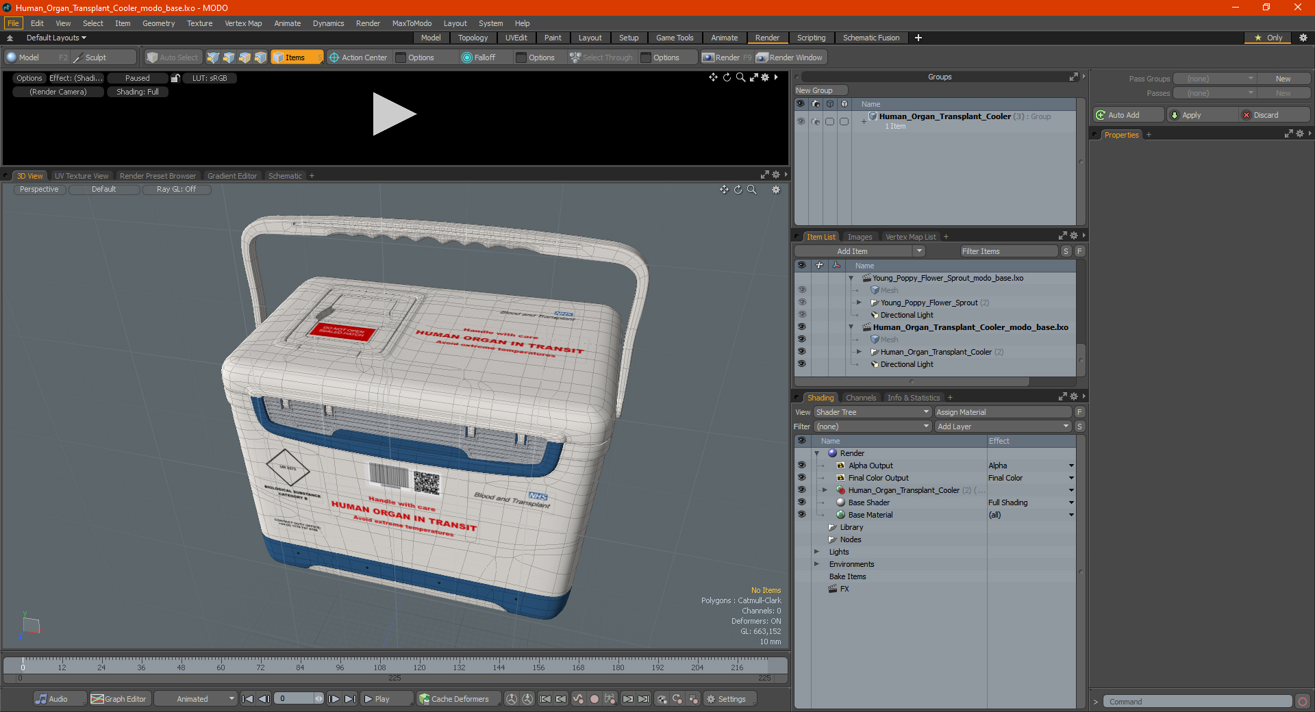 Human Organ Transplant Cooler 3D model