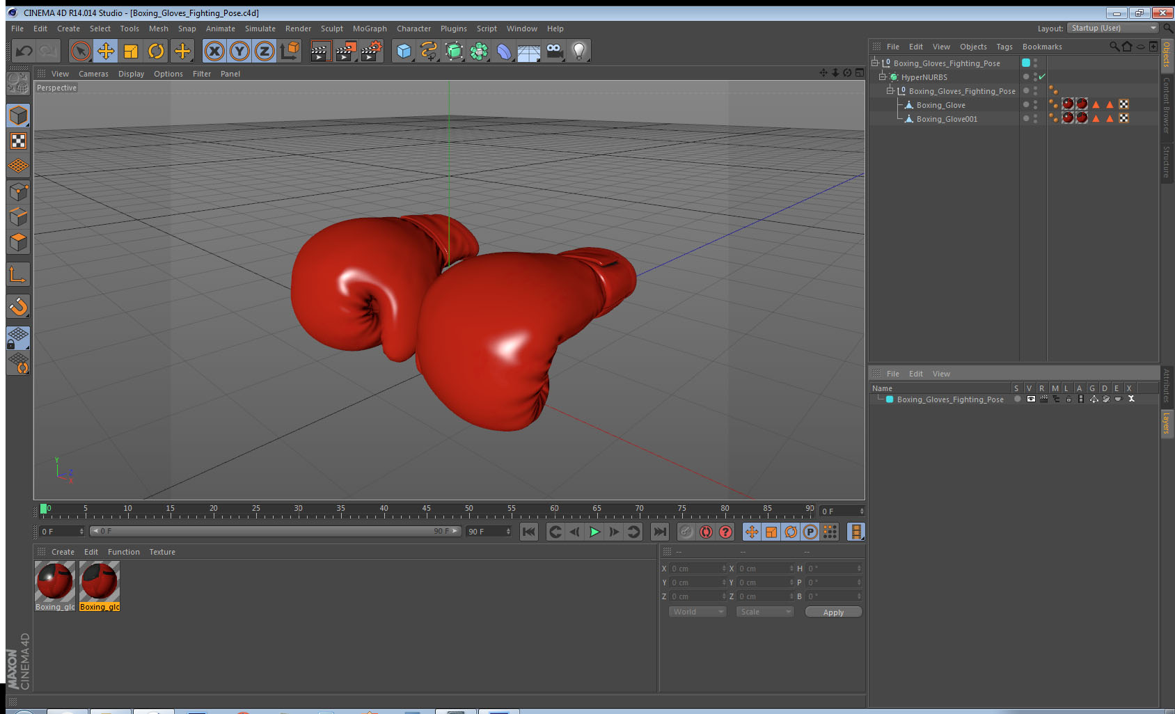 Boxing Gloves Fighting Pose 3D