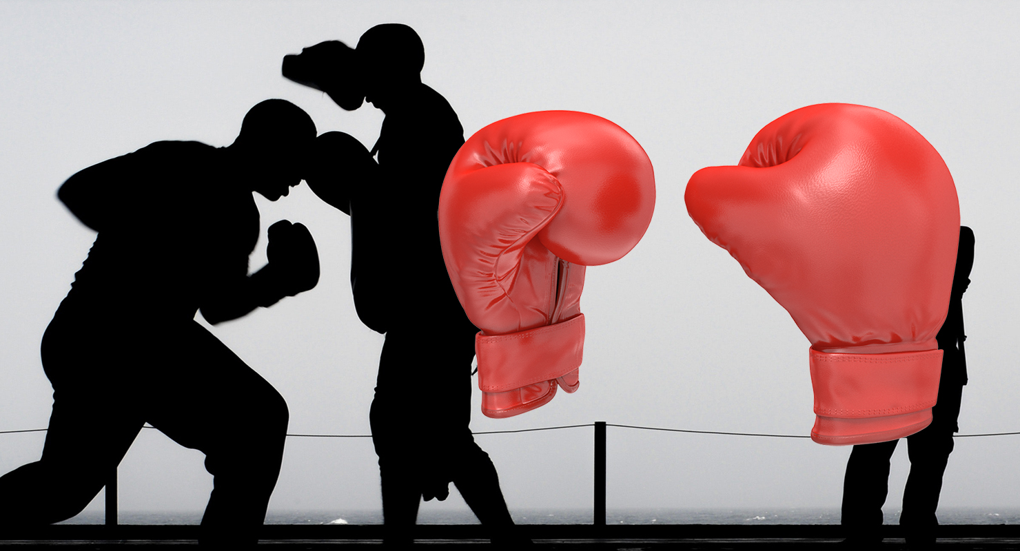 Boxing Gloves Fighting Pose 3D