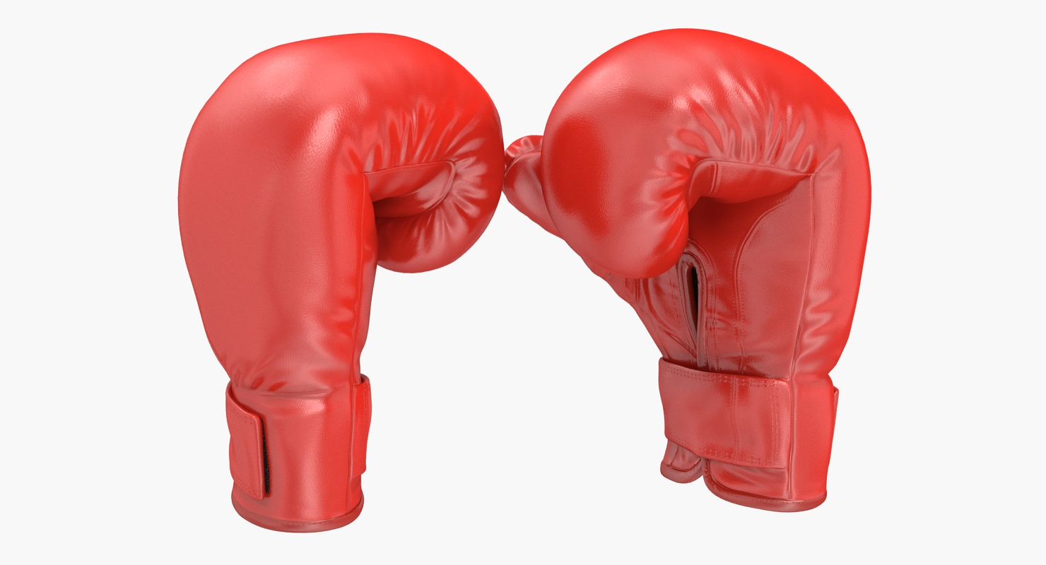 Boxing Gloves Fighting Pose 3D