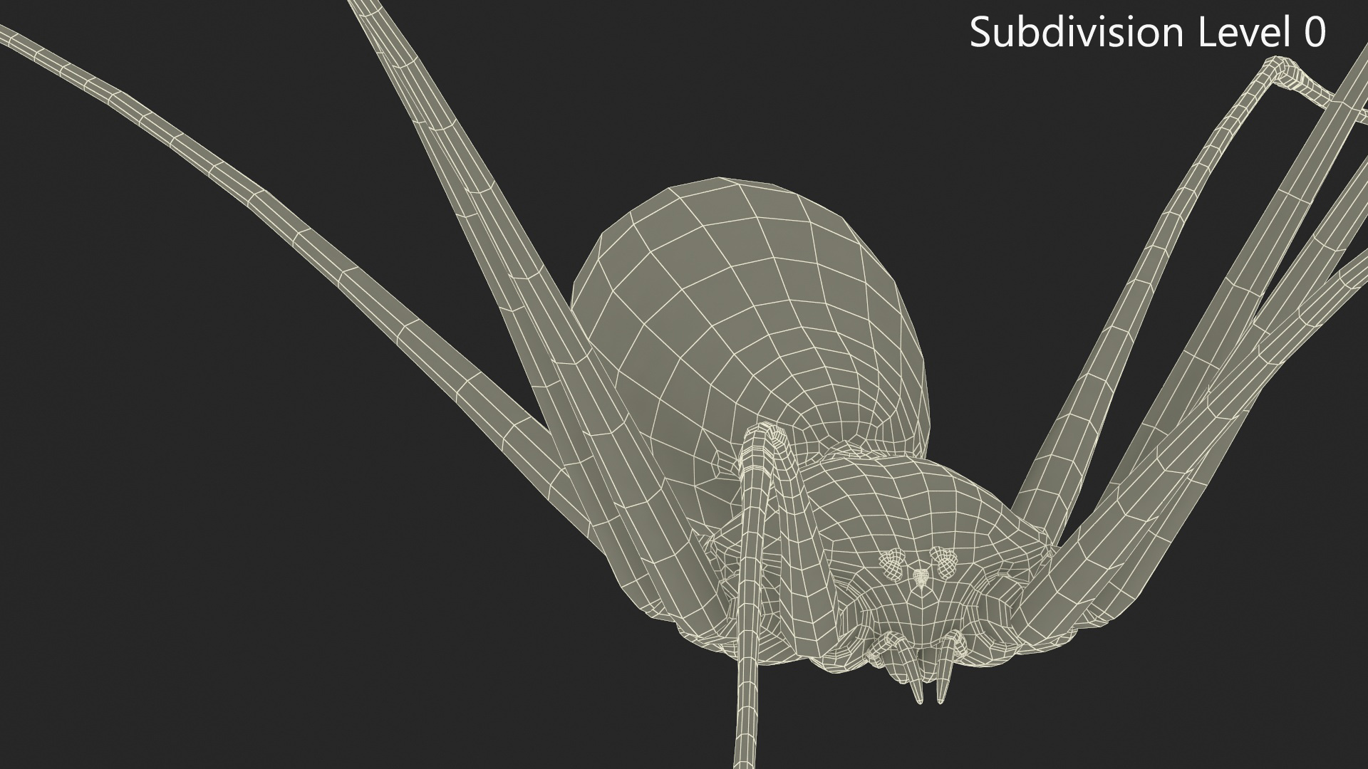 3D Daddy Long-legs Spider Fur Rigged model