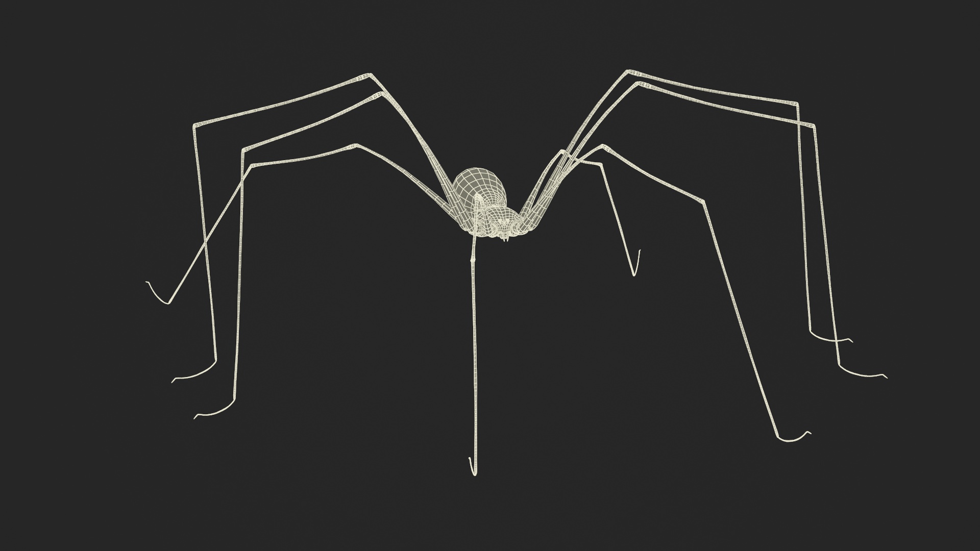 3D Daddy Long-legs Spider Fur Rigged model