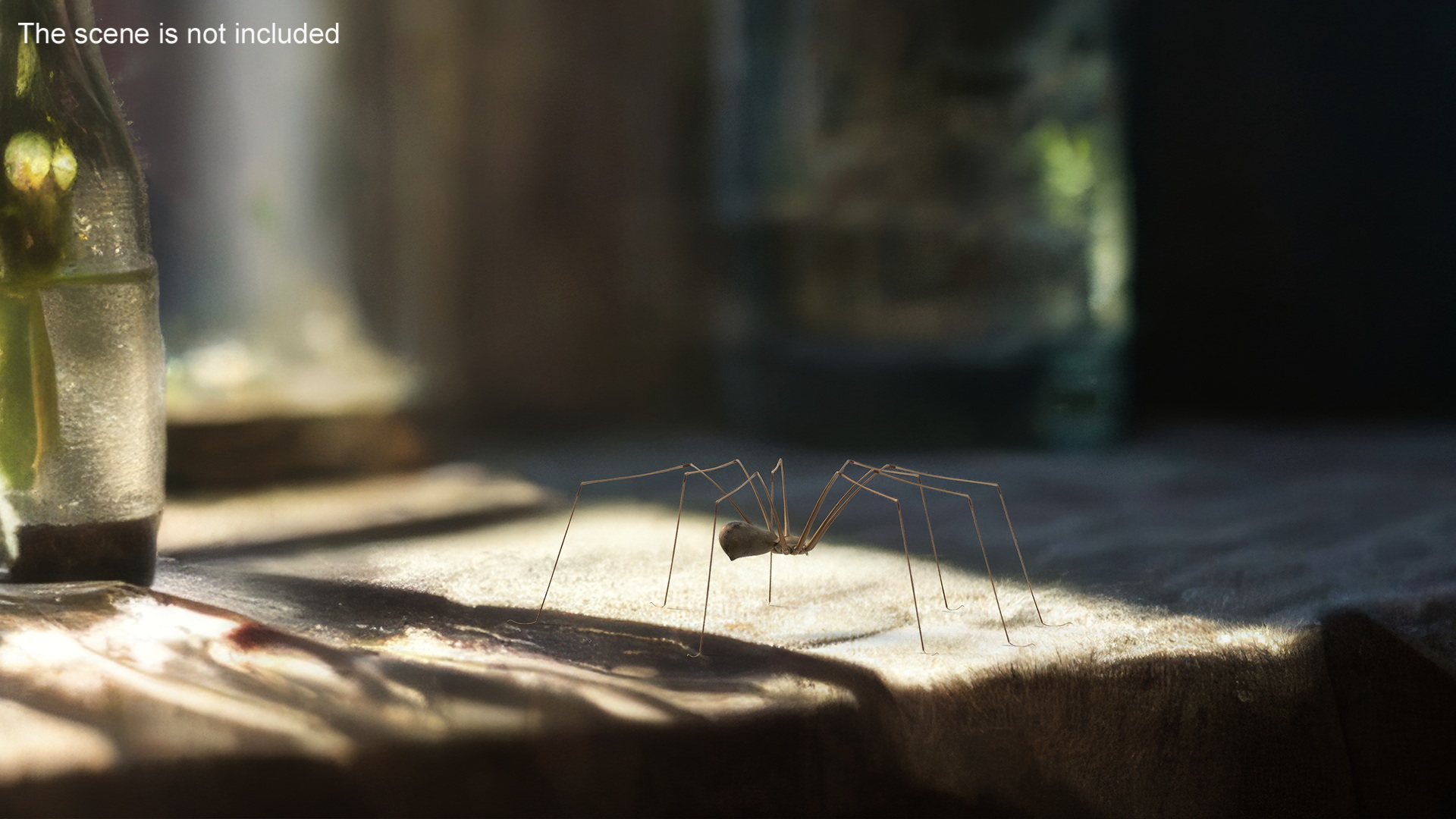 3D Daddy Long-legs Spider Fur Rigged model