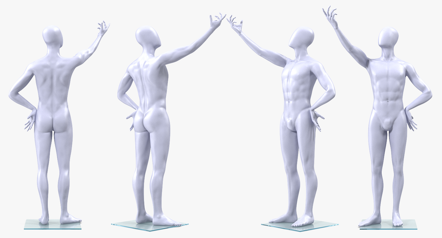 3D Male Mannequin Rigged