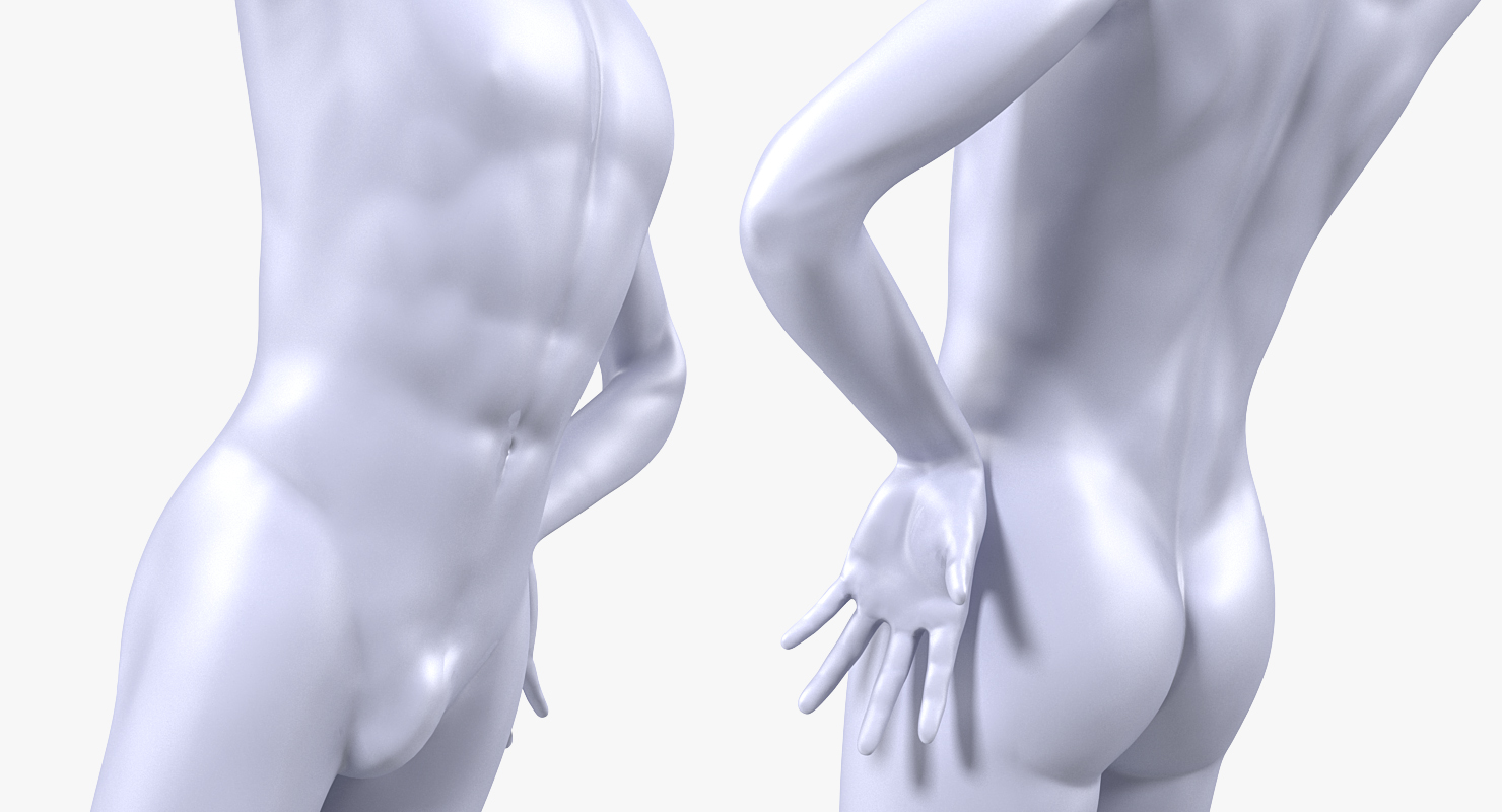 3D Male Mannequin Rigged