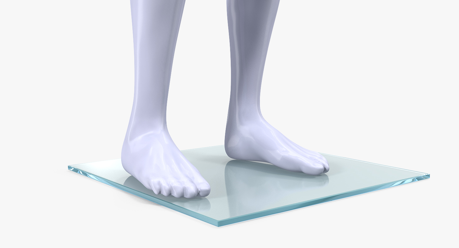 3D Male Mannequin Rigged