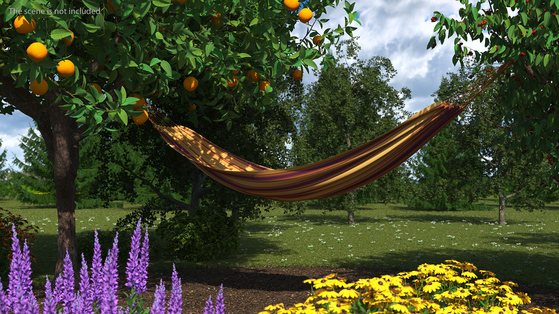 Striped Fabric Hammock 3D
