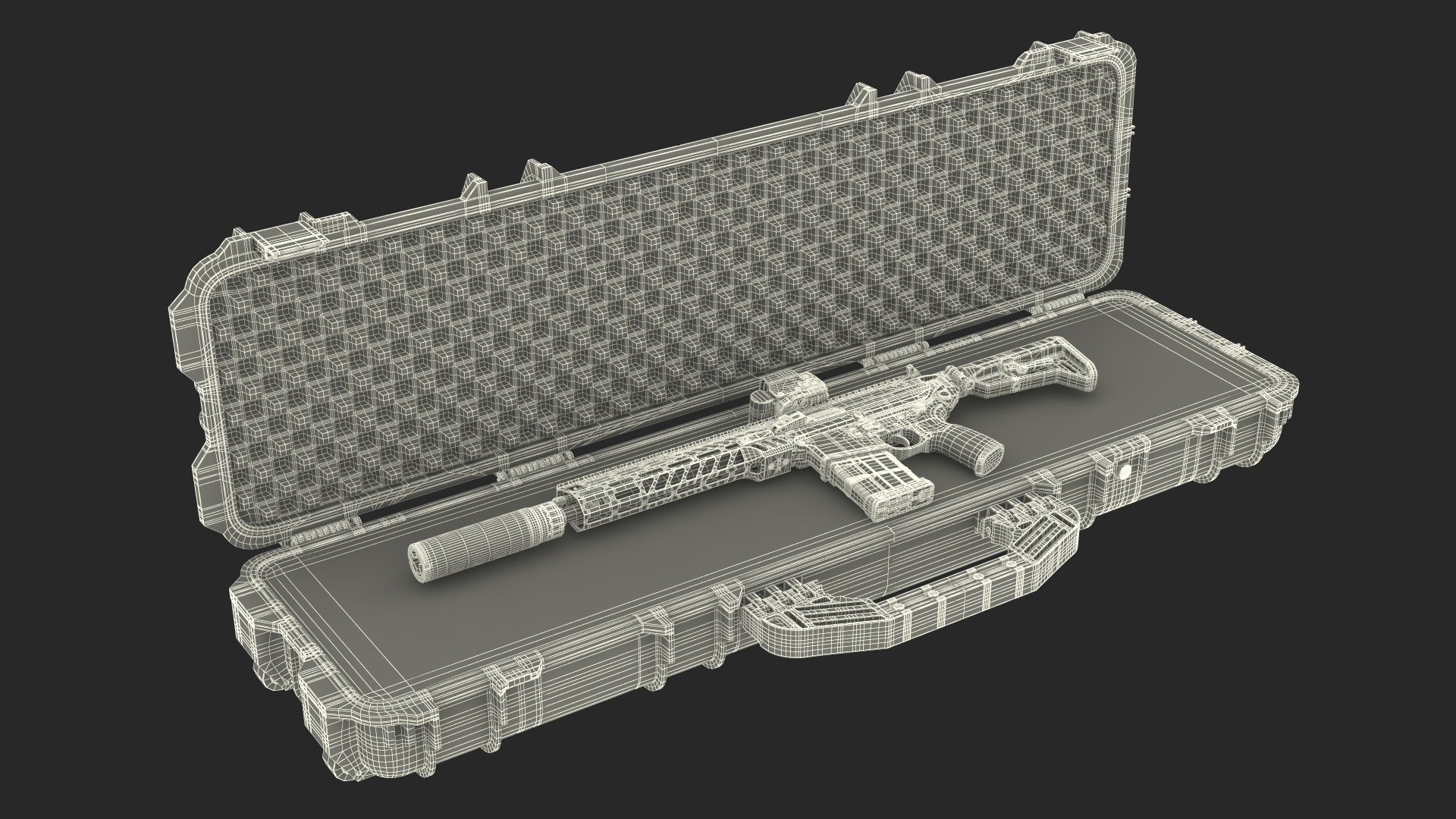 SIG XM7 Assault Rifle in Case 3D model