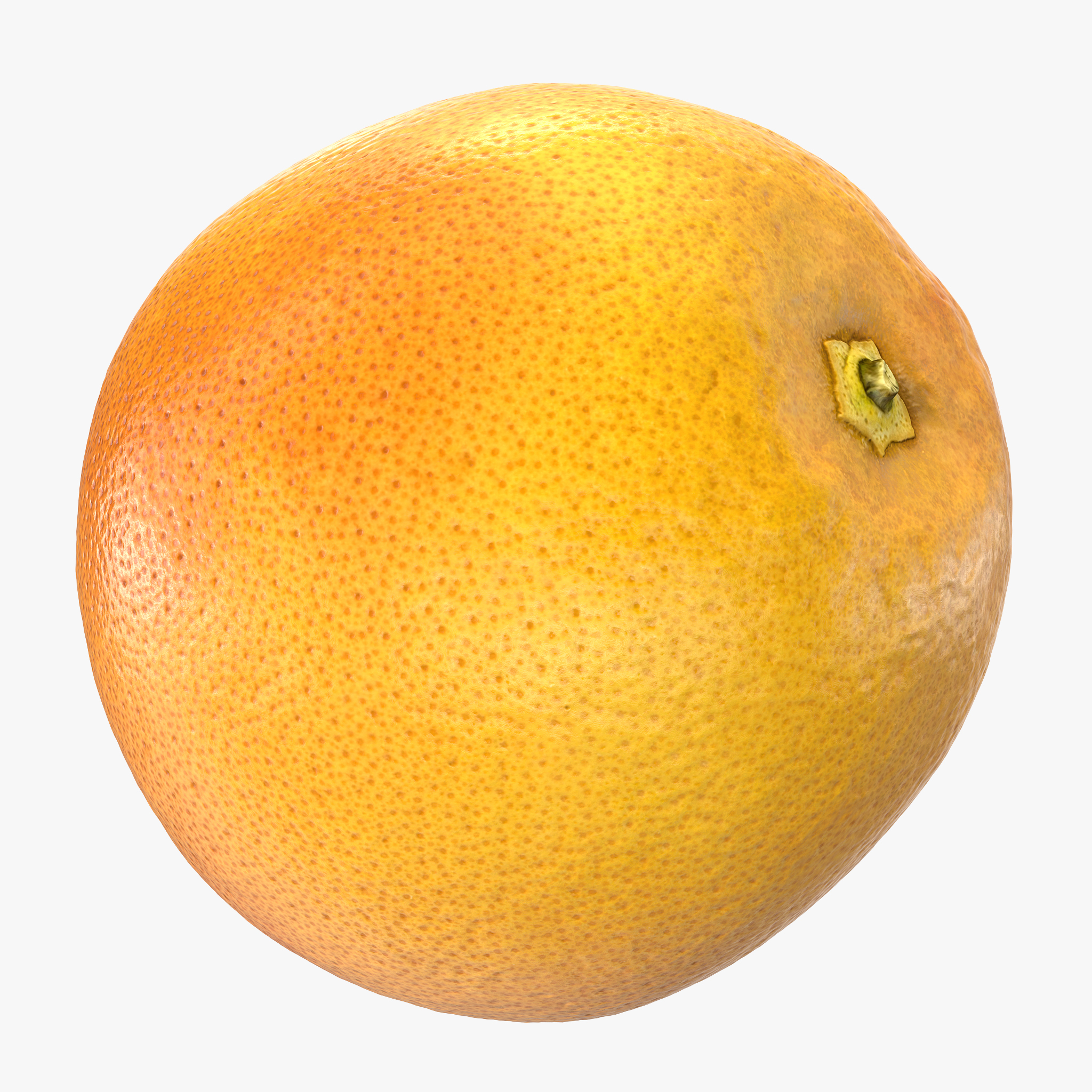 Whole Grapefruit