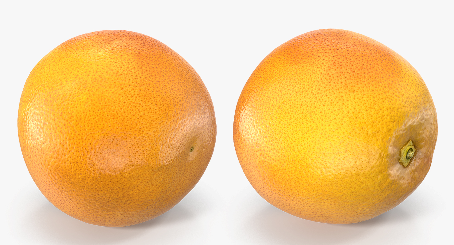 3D Whole Grapefruit