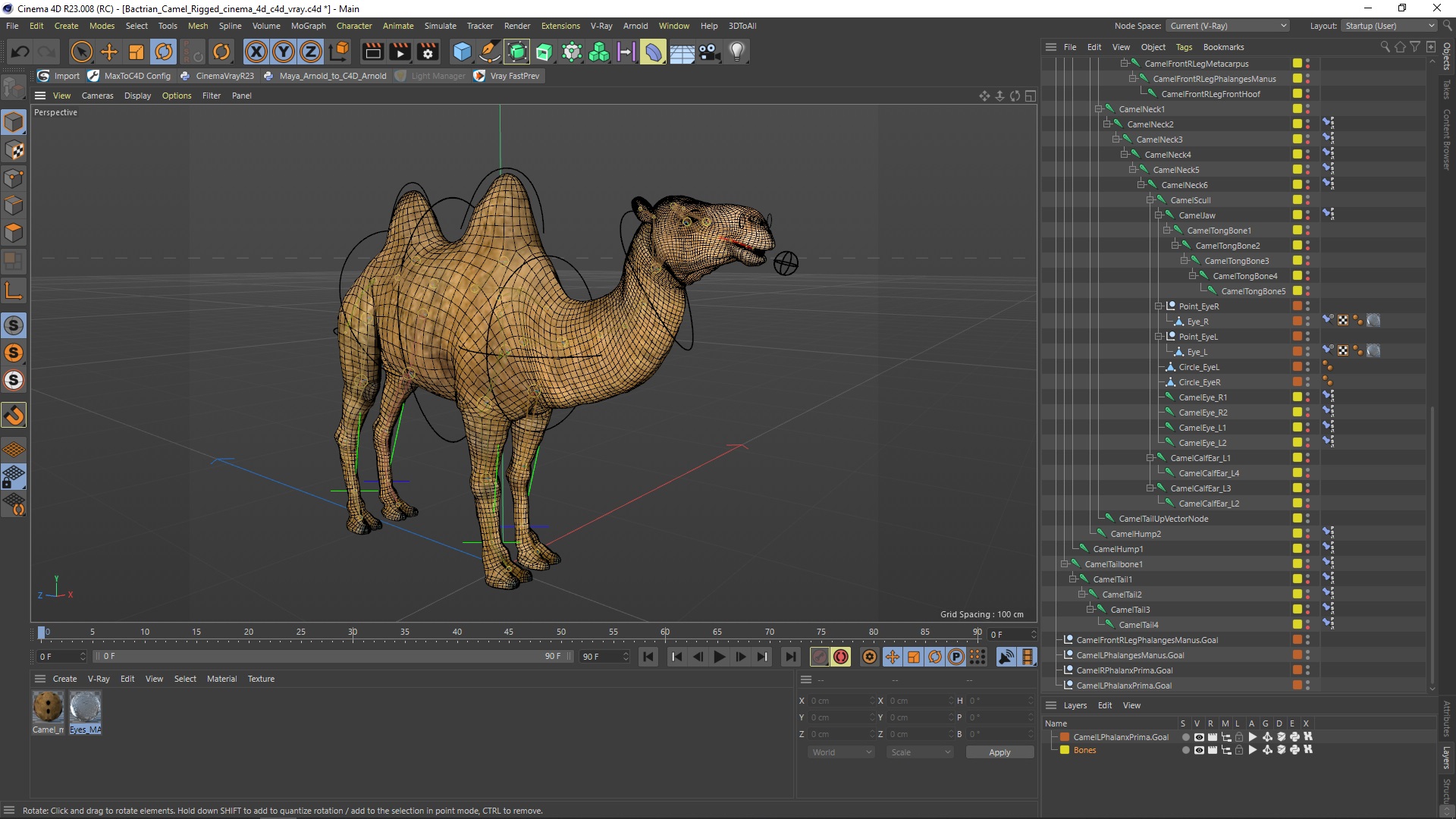 3D model Bactrian Camel Rigged for Cinema 4D