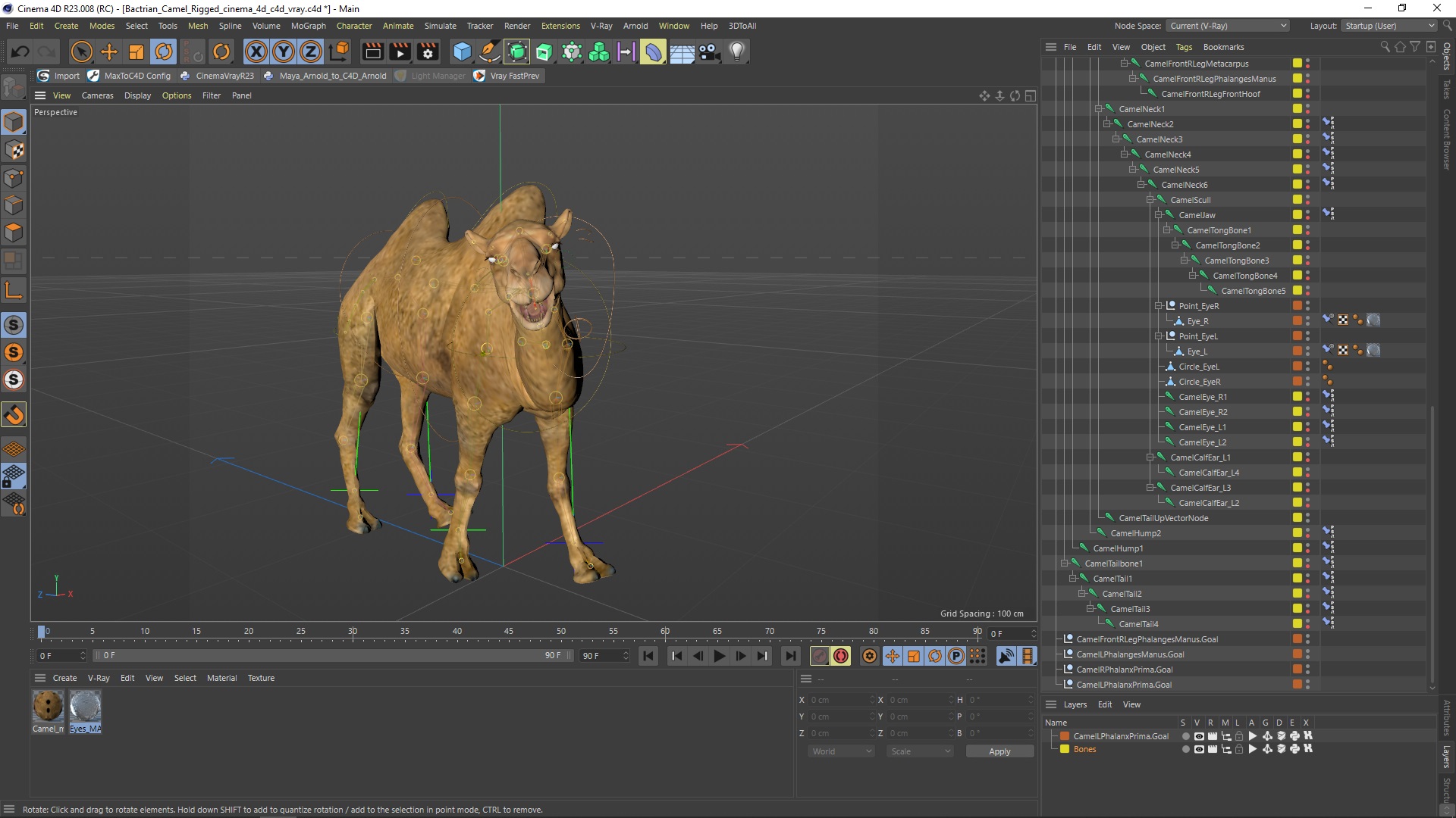 3D model Bactrian Camel Rigged for Cinema 4D