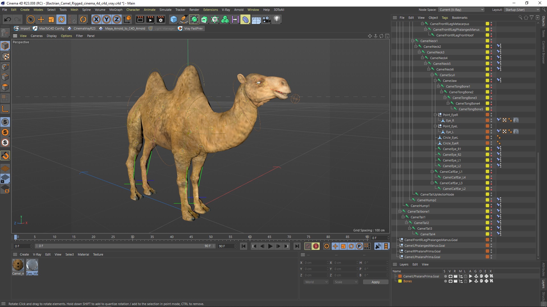 3D model Bactrian Camel Rigged for Cinema 4D