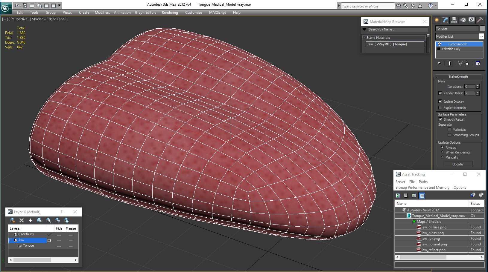 3D model Tongue Medical Model