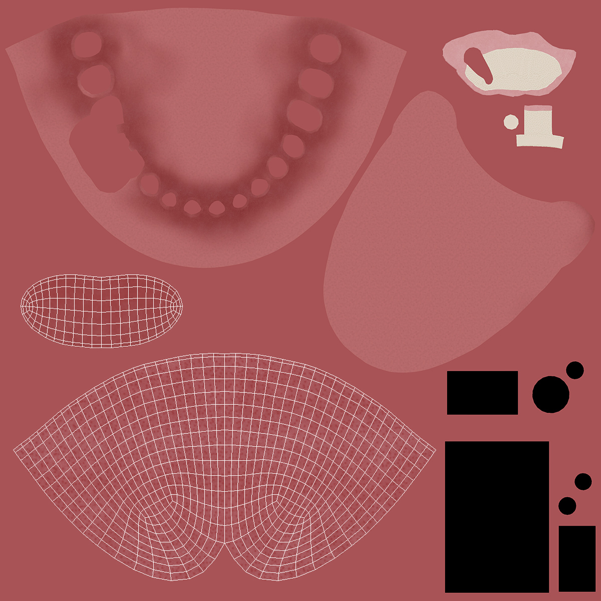 3D model Tongue Medical Model