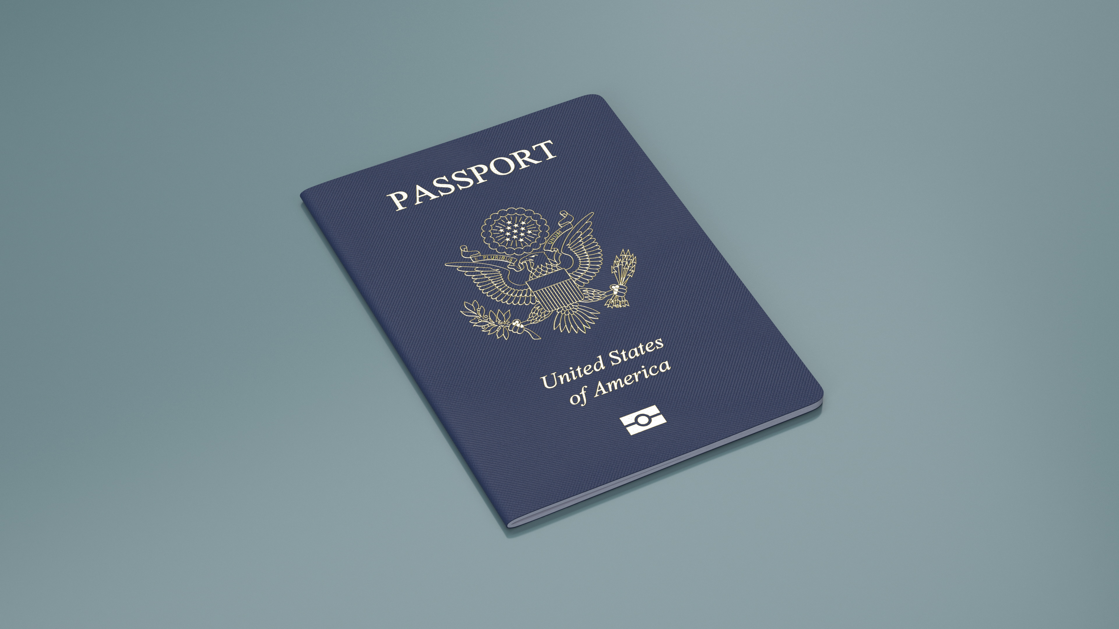 3D model Passport of USA