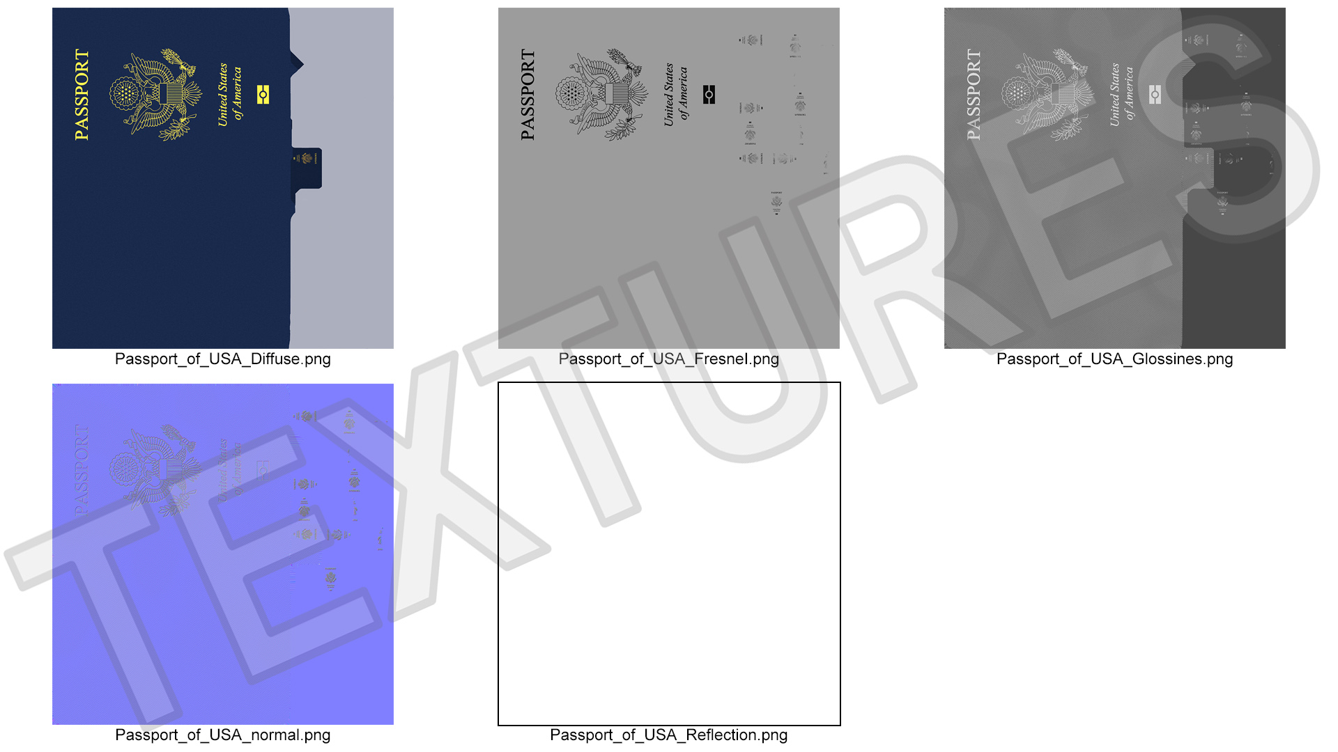 3D model Passport of USA