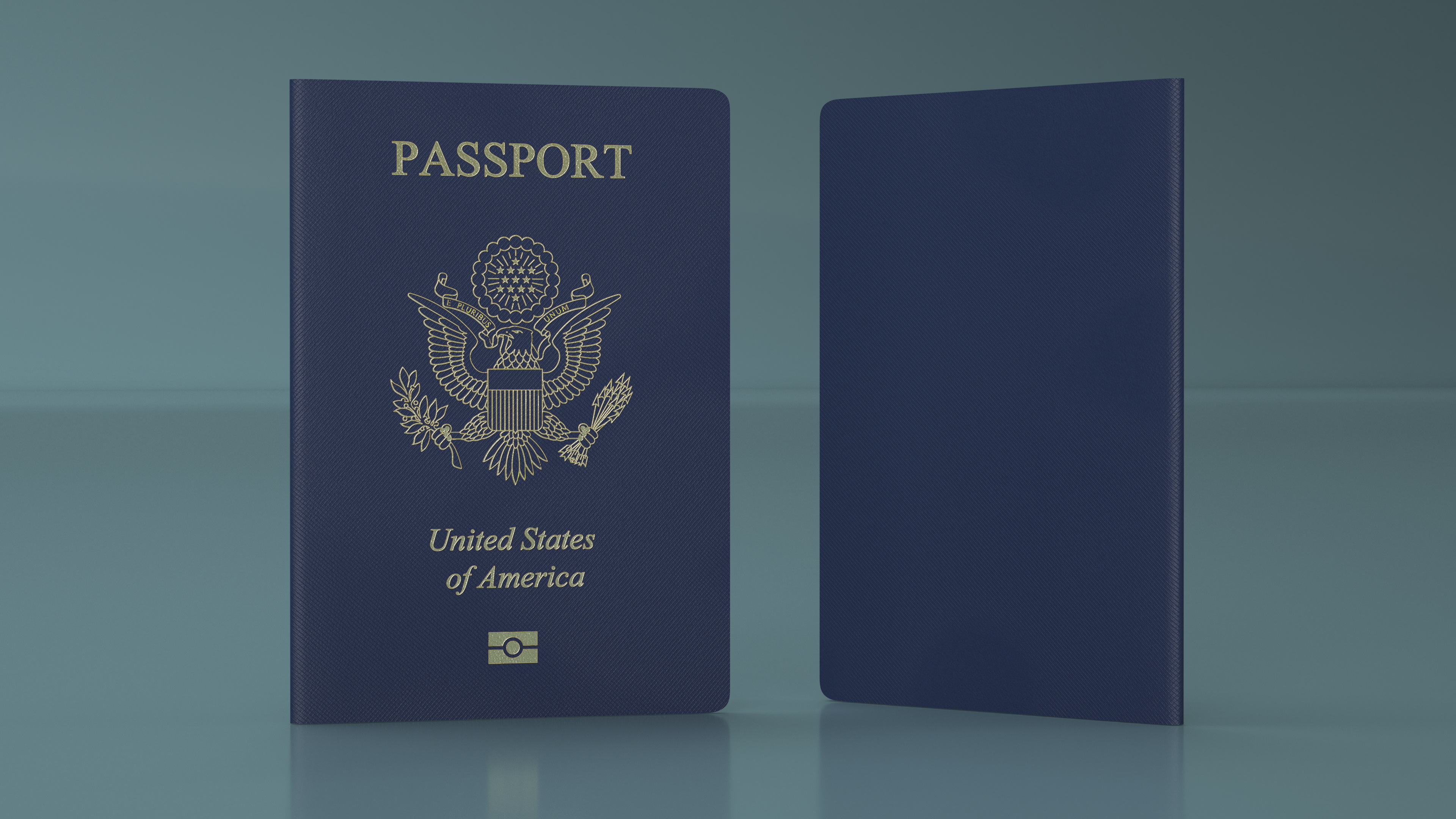 3D model Passport of USA