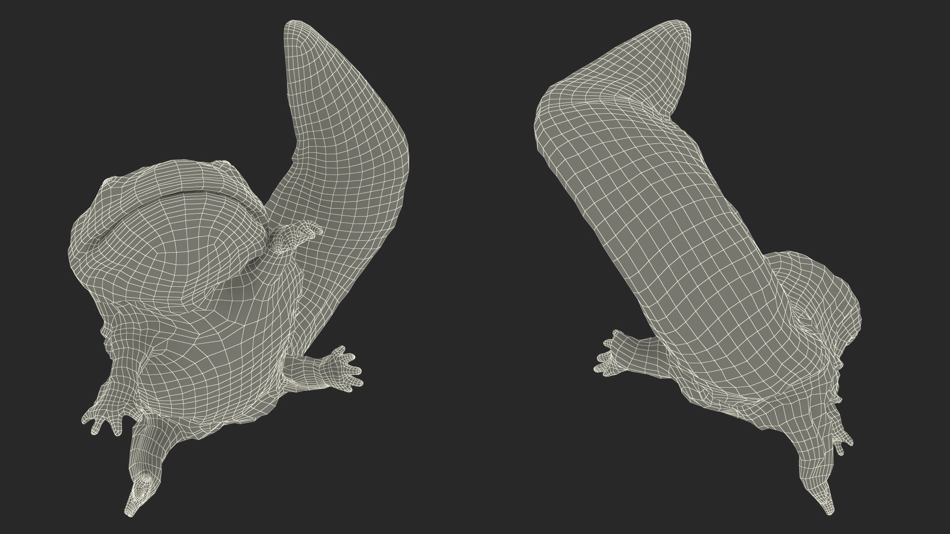3D model Giant Salamander Dark Swimming