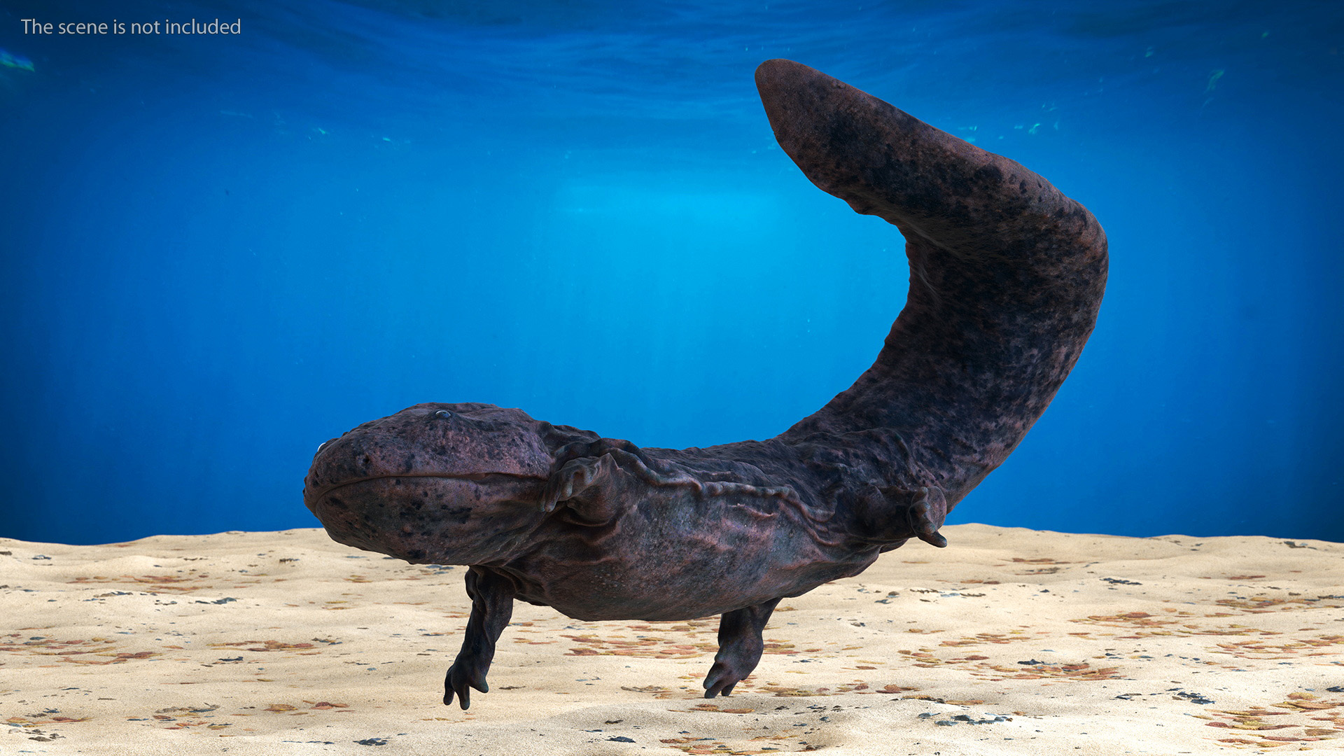 3D model Giant Salamander Dark Swimming