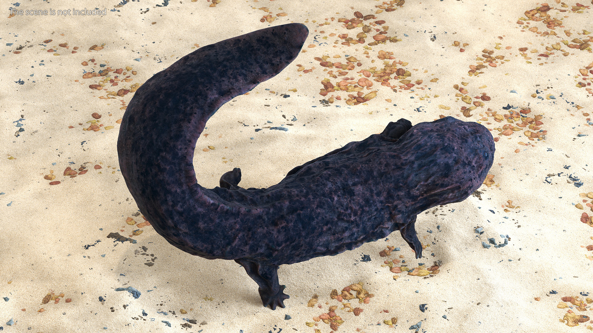3D model Giant Salamander Dark Swimming