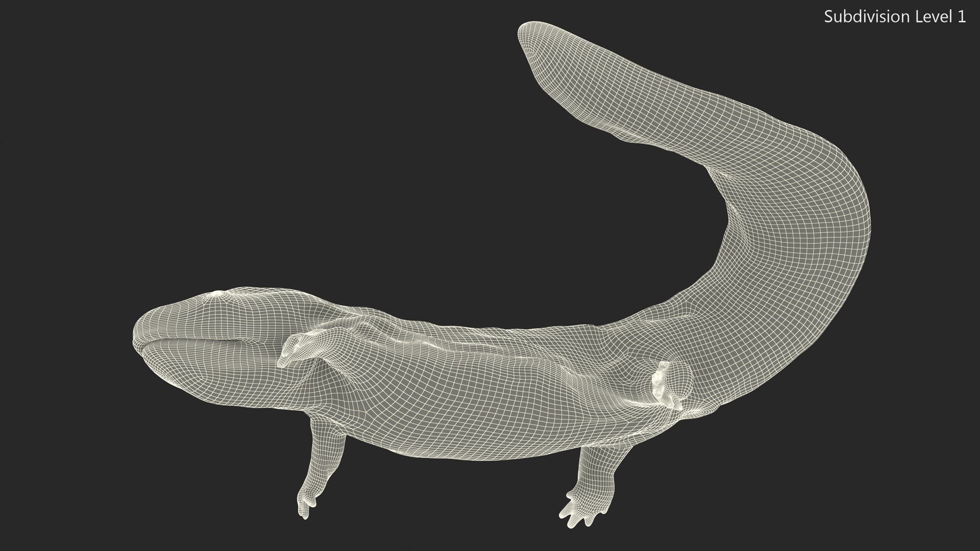 3D model Giant Salamander Dark Swimming