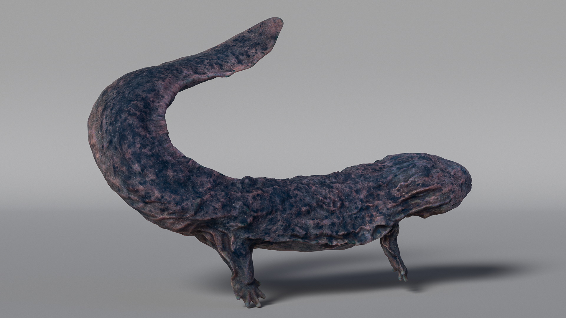 3D model Giant Salamander Dark Swimming