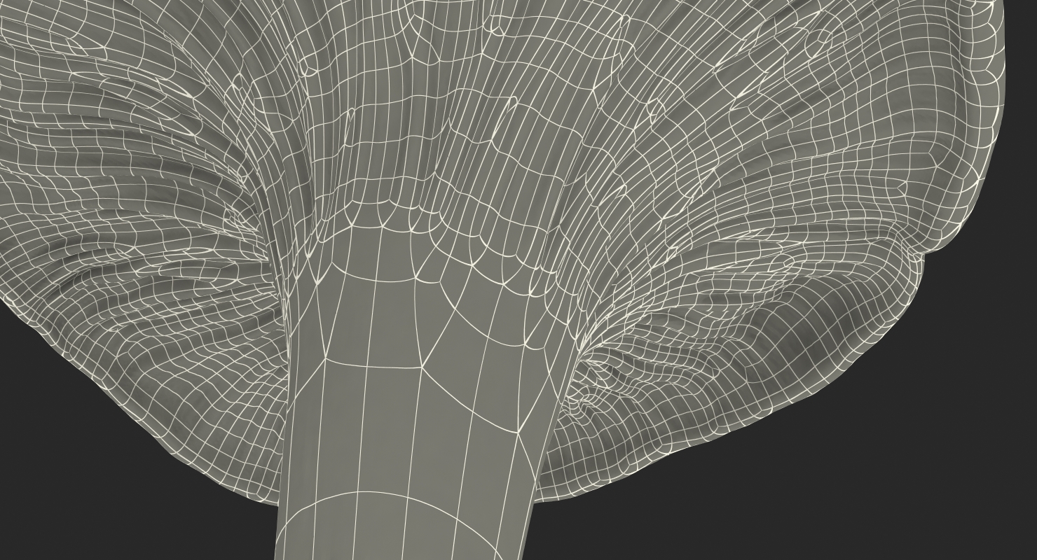 Golden Wild Mushroom Chanterelle 3D