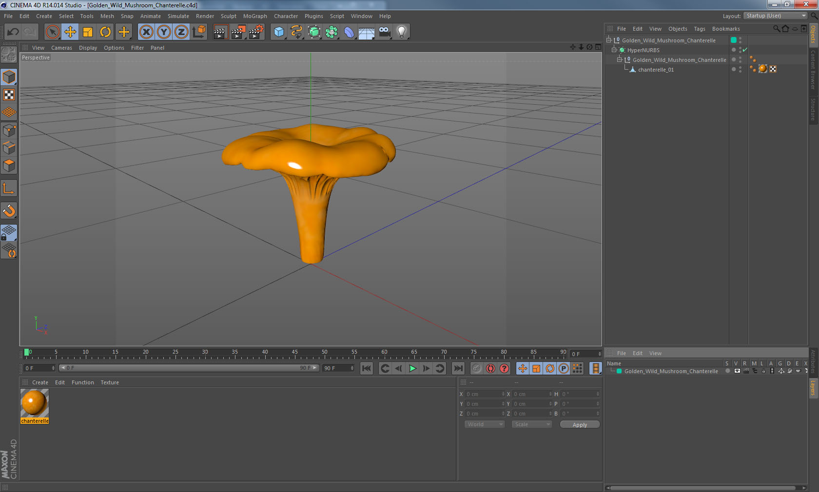 Golden Wild Mushroom Chanterelle 3D