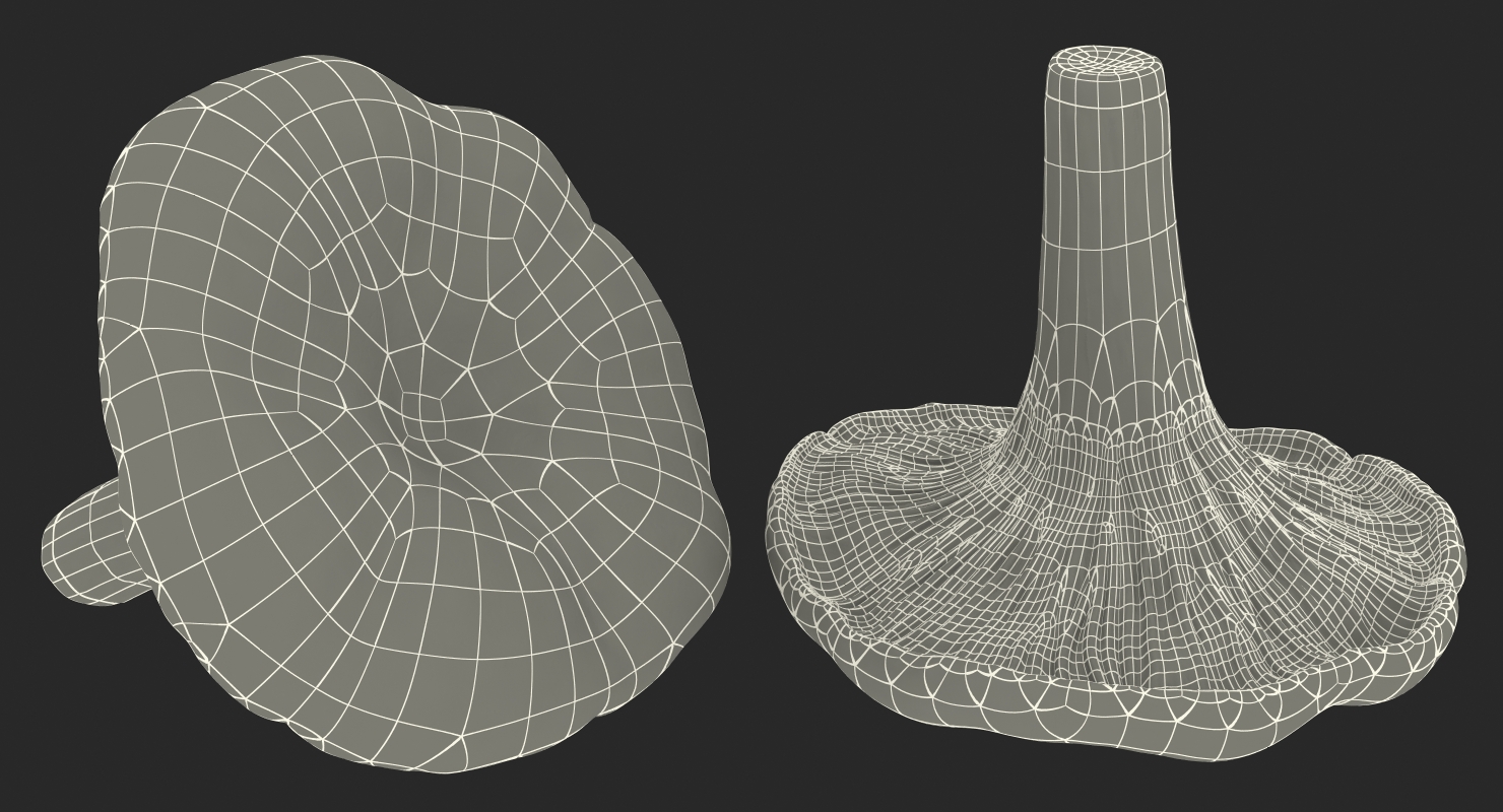 Golden Wild Mushroom Chanterelle 3D