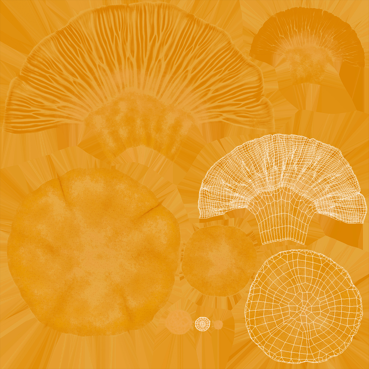 Golden Wild Mushroom Chanterelle 3D