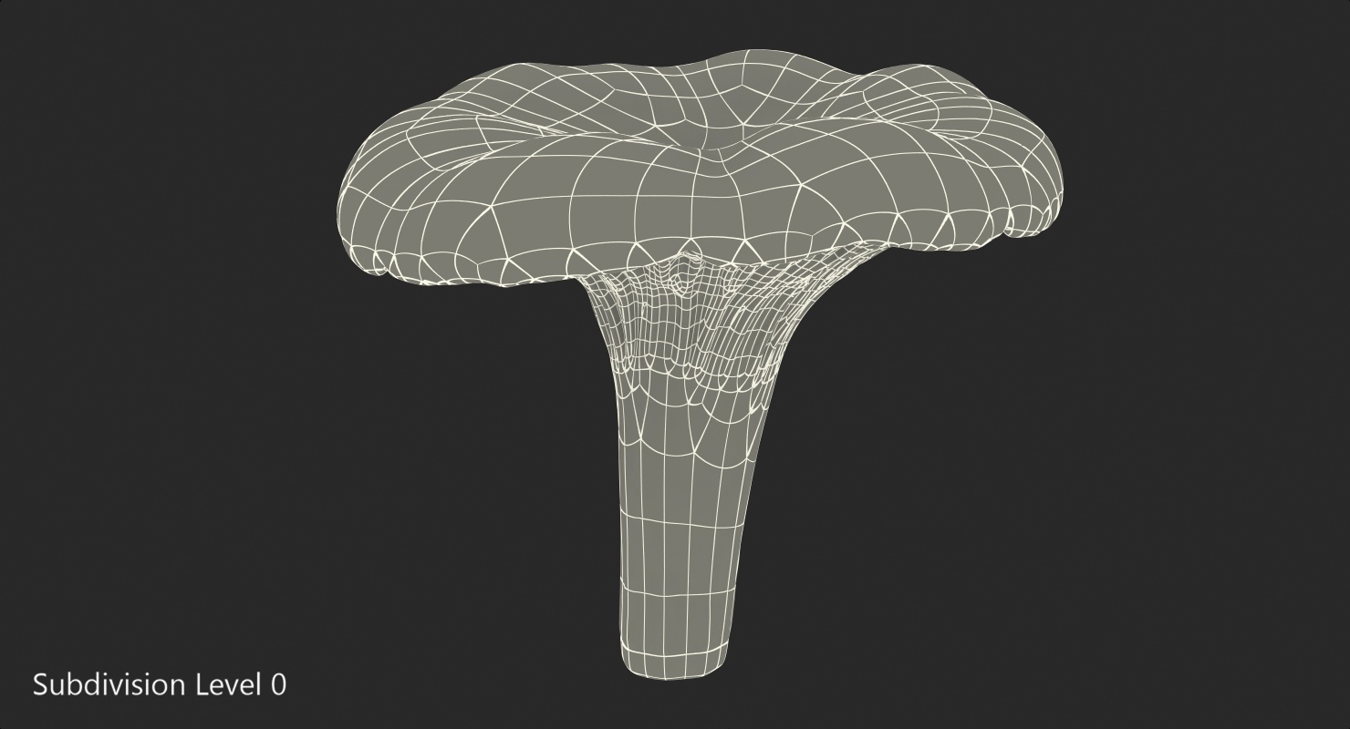 Golden Wild Mushroom Chanterelle 3D