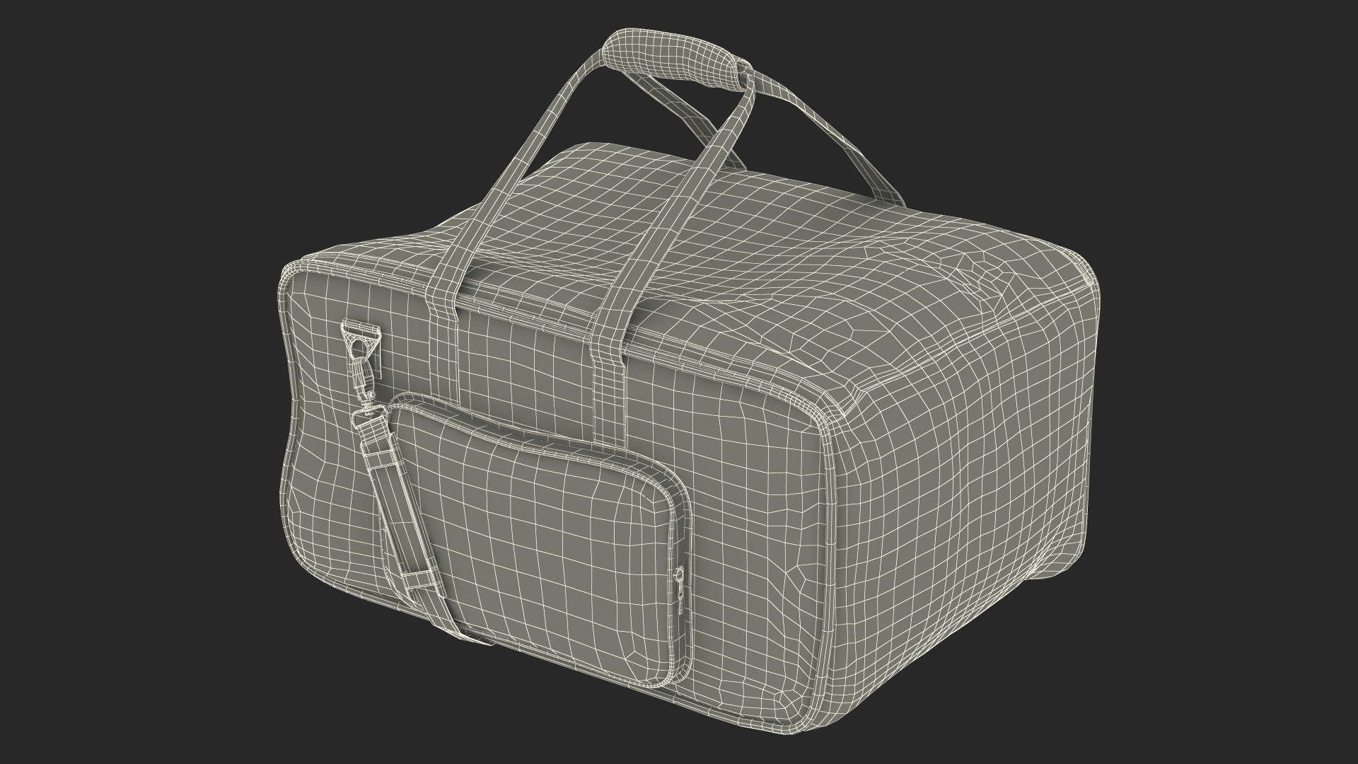 3D Gator Lighting Bag model