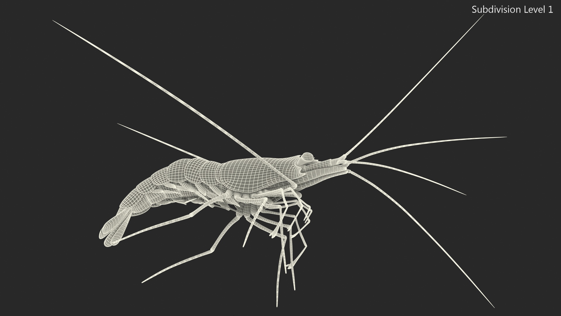3D Red Blood Cleaner Shrimp Fur model