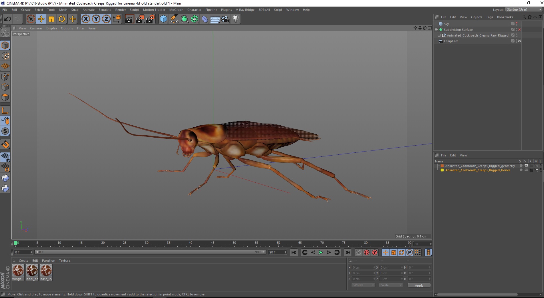 3D Animated Cockroach Creeps Rigged for Cinema 4D