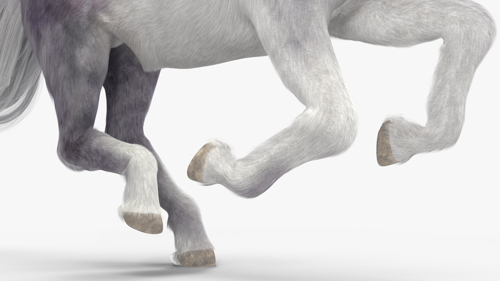 Galloping White Pony with Long Mane Fur 3D model
