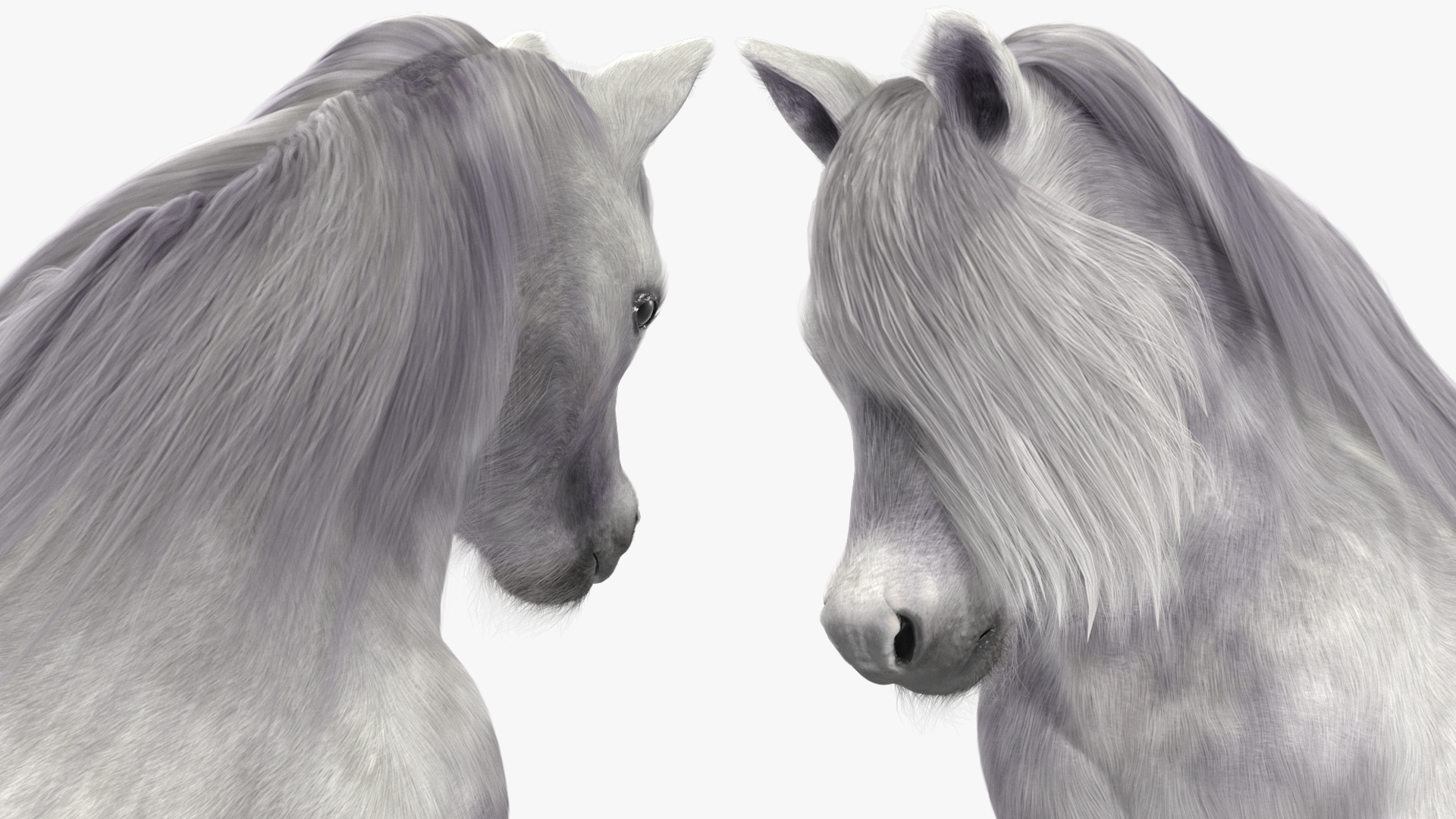 Galloping White Pony with Long Mane Fur 3D model