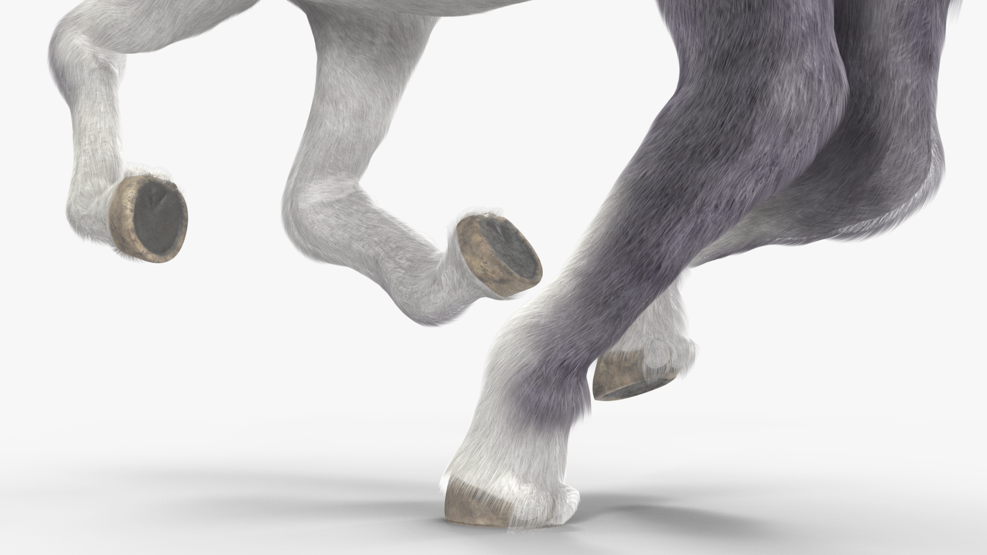 Galloping White Pony with Long Mane Fur 3D model