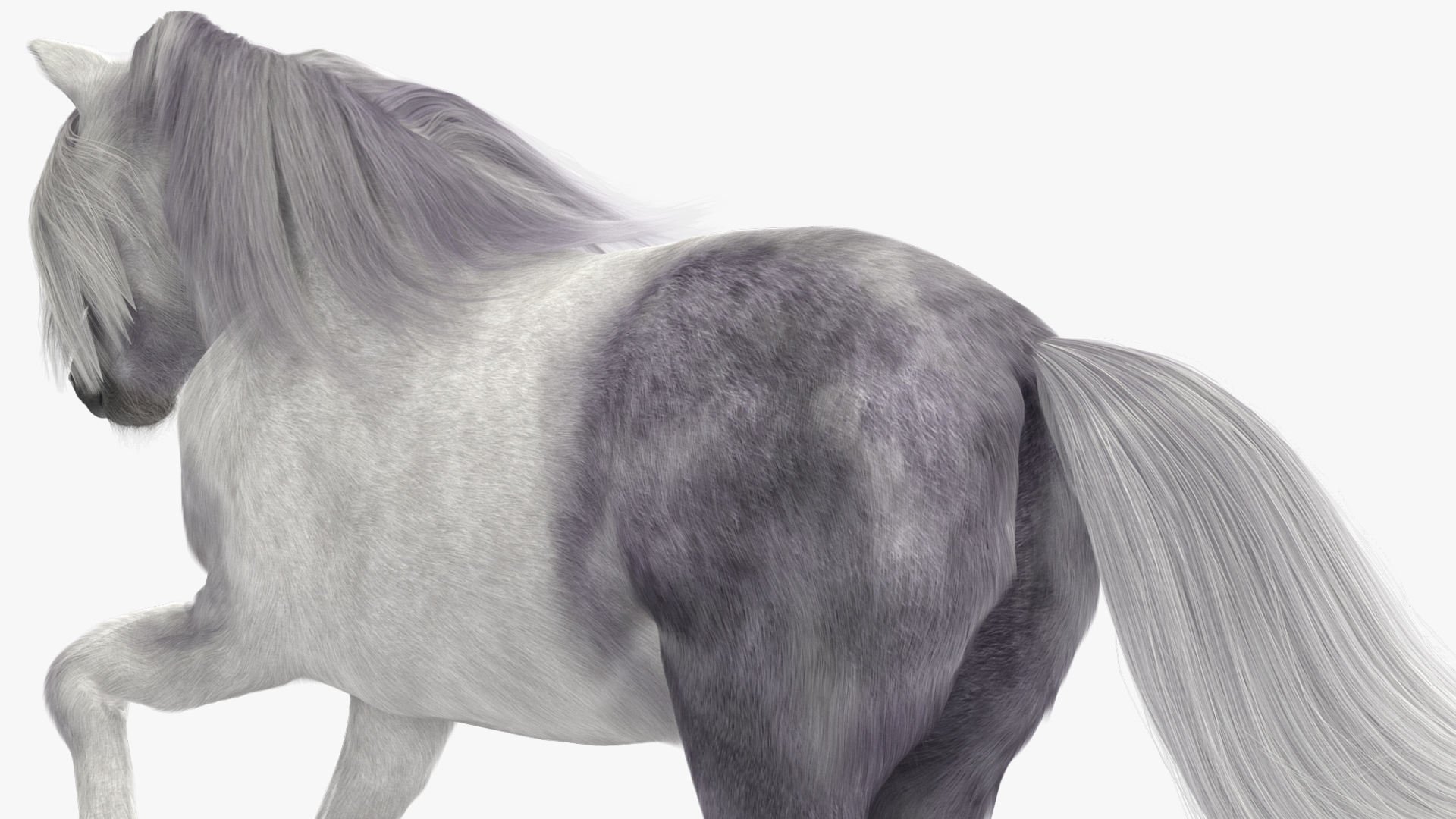 Galloping White Pony with Long Mane Fur 3D model