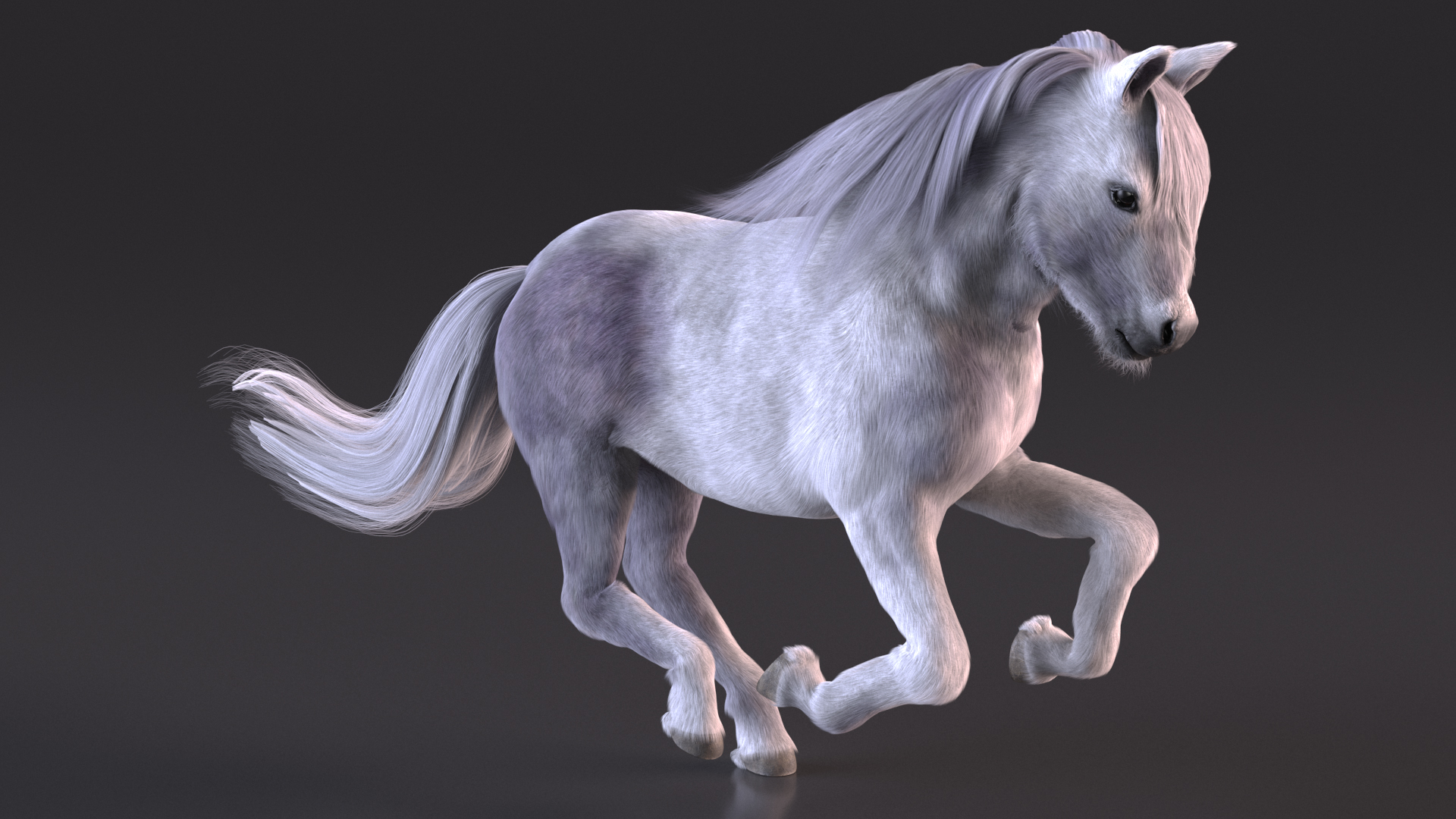Galloping White Pony with Long Mane Fur 3D model