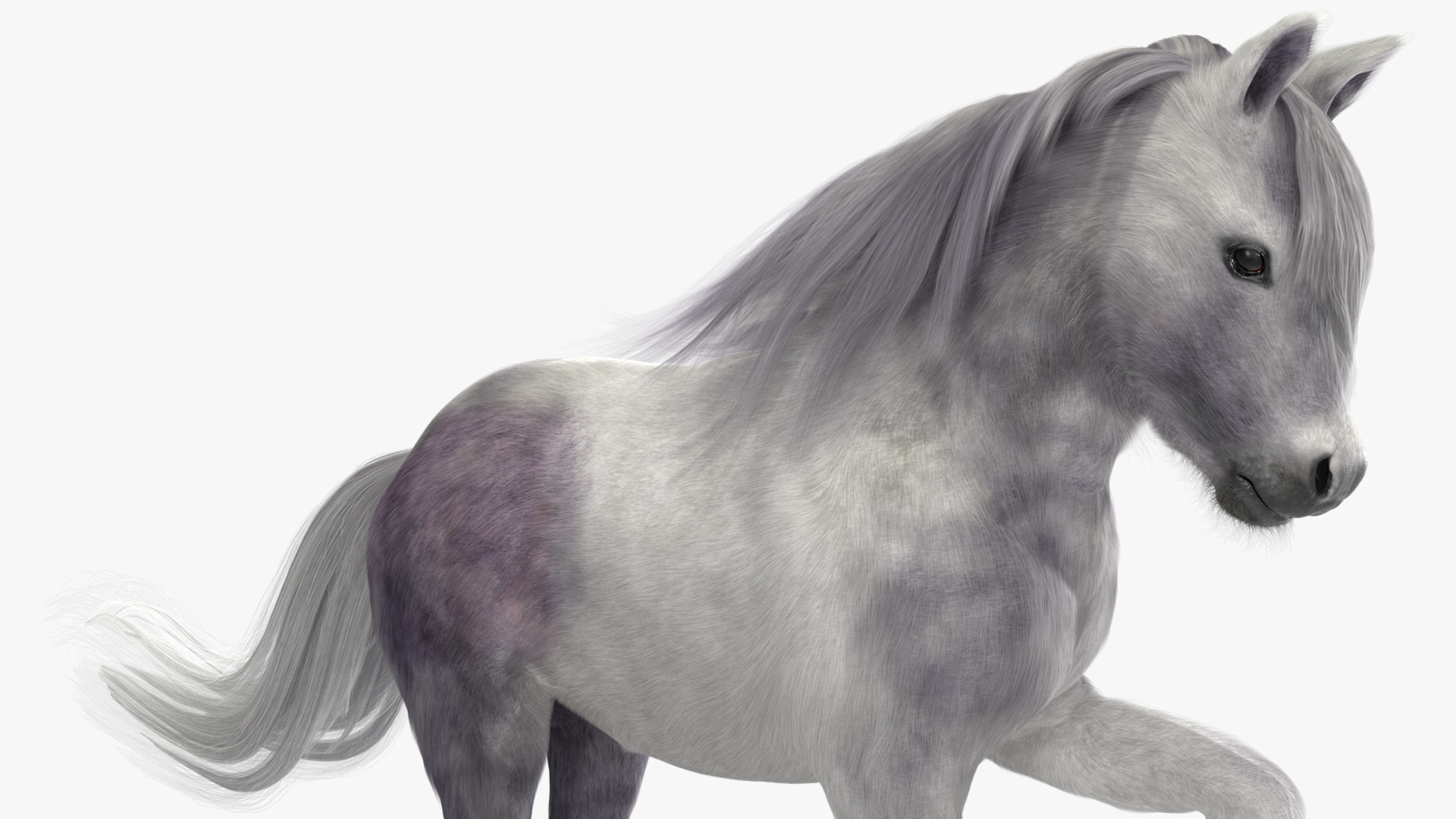 Galloping White Pony with Long Mane Fur 3D model