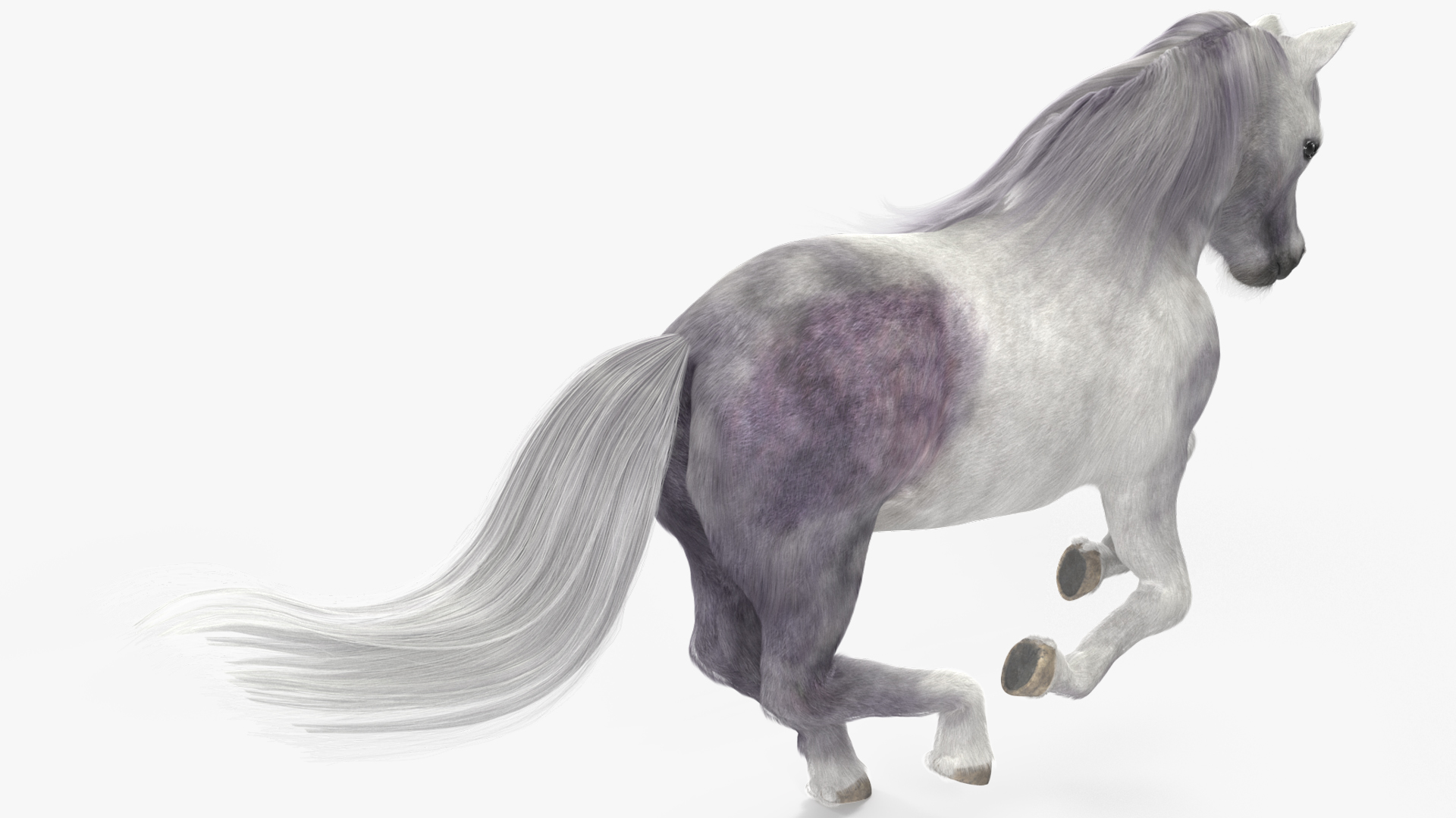 Galloping White Pony with Long Mane Fur 3D model