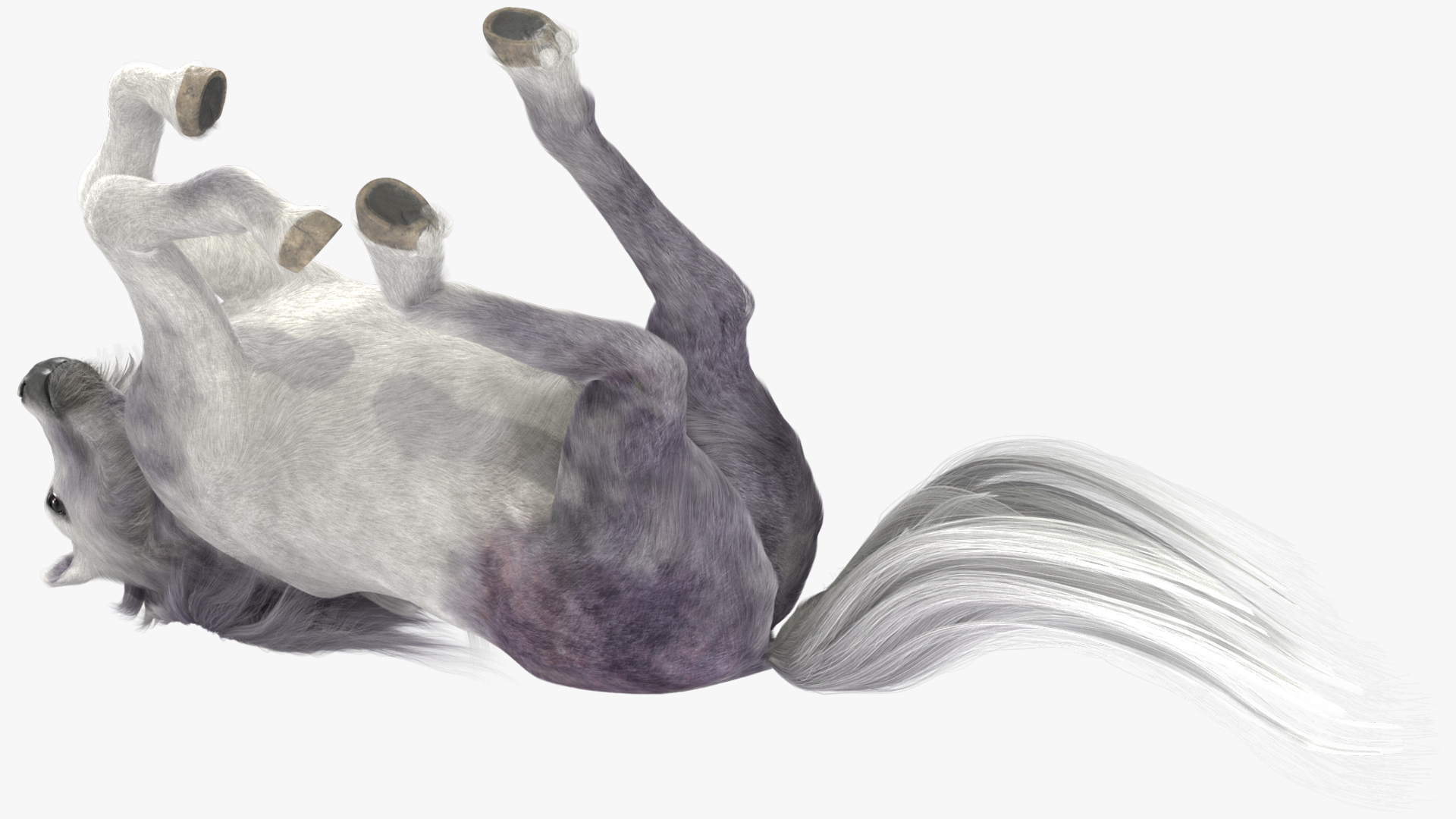 Galloping White Pony with Long Mane Fur 3D model